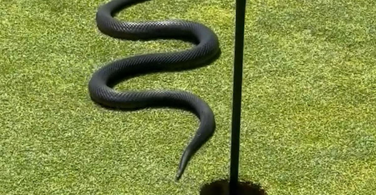 Golfers flee as huge waves hit California golf course during storm