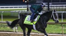 Mugatu trainer, jockey, owner, record and more to know about 2024 Kentucky Derby hopeful