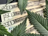 How cannabis stocks can win big with new policy changes