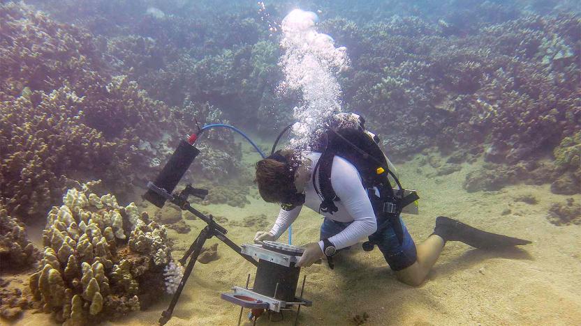 Jaffe Laboratory for Underwater Imaging/Scripps Institution of Oceanography, UC San Diego