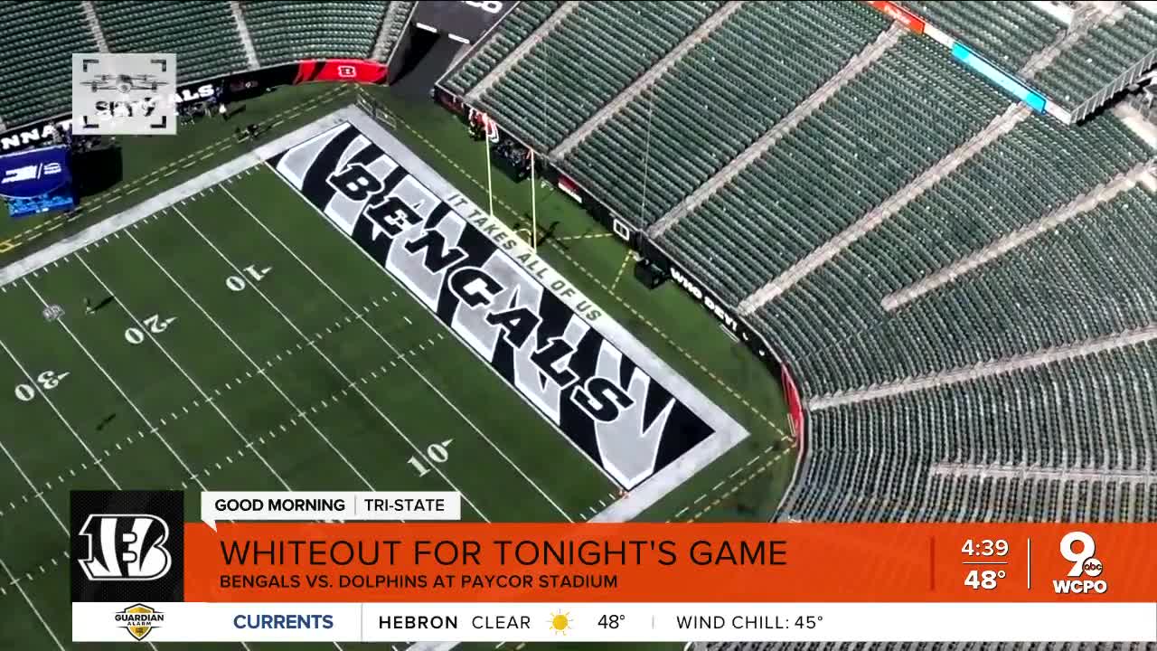 It's a big day for the Bengals