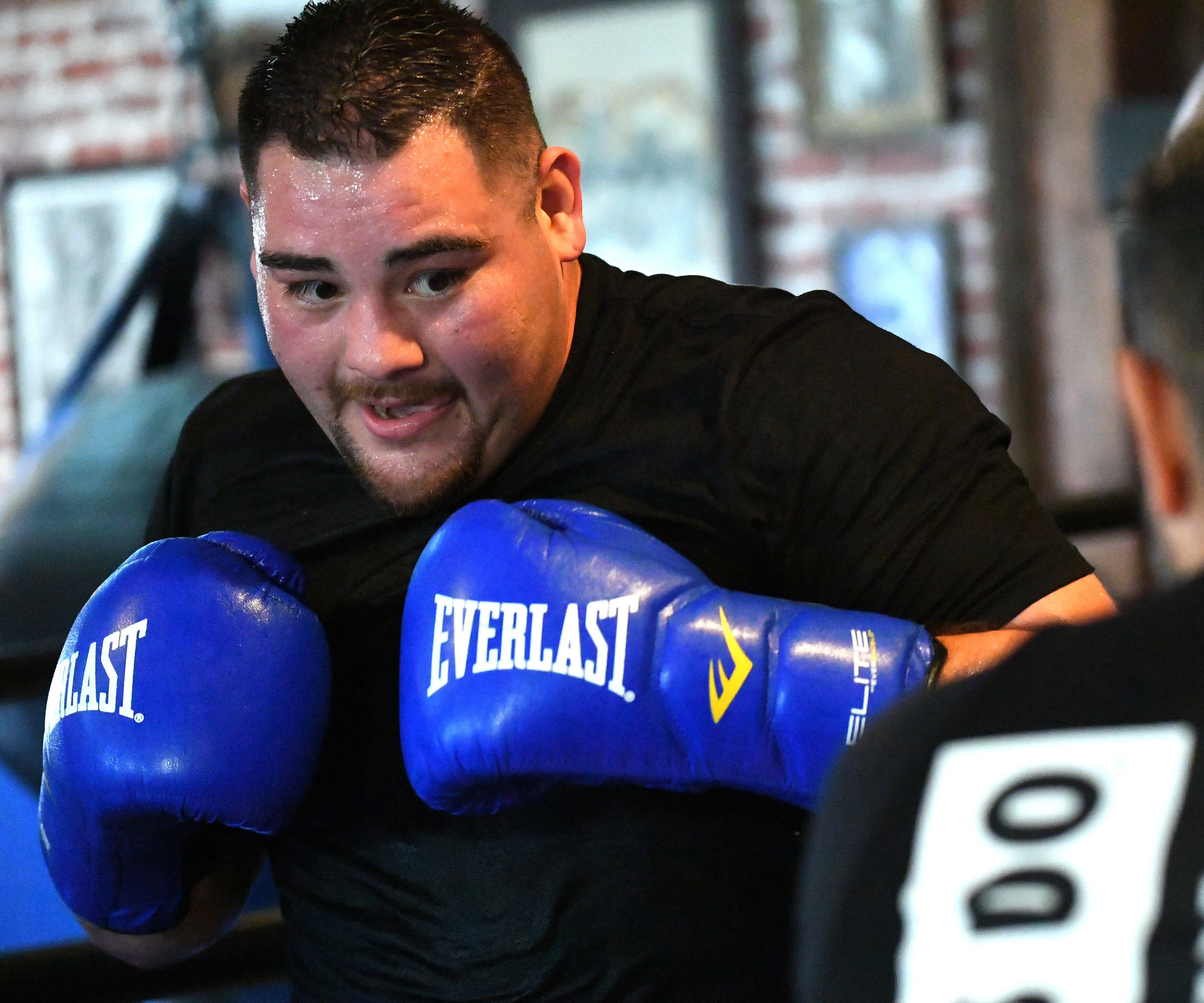 andy ruiz next fight 2022