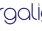 Surgalign Receives NASDAQ Delisting Notice Following its Chapter 11 Filing