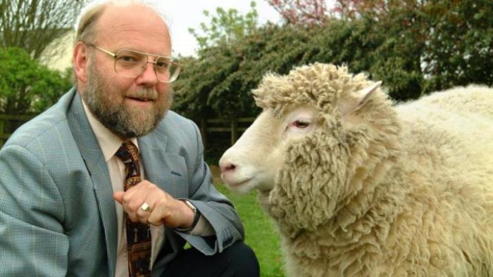 Mid-90s photo of Sir Ian Wilmut with Dolly the cloned sheep. He squats on the left (perhaps with sheep treats in his closed hand) as Dolly faces him on the right.