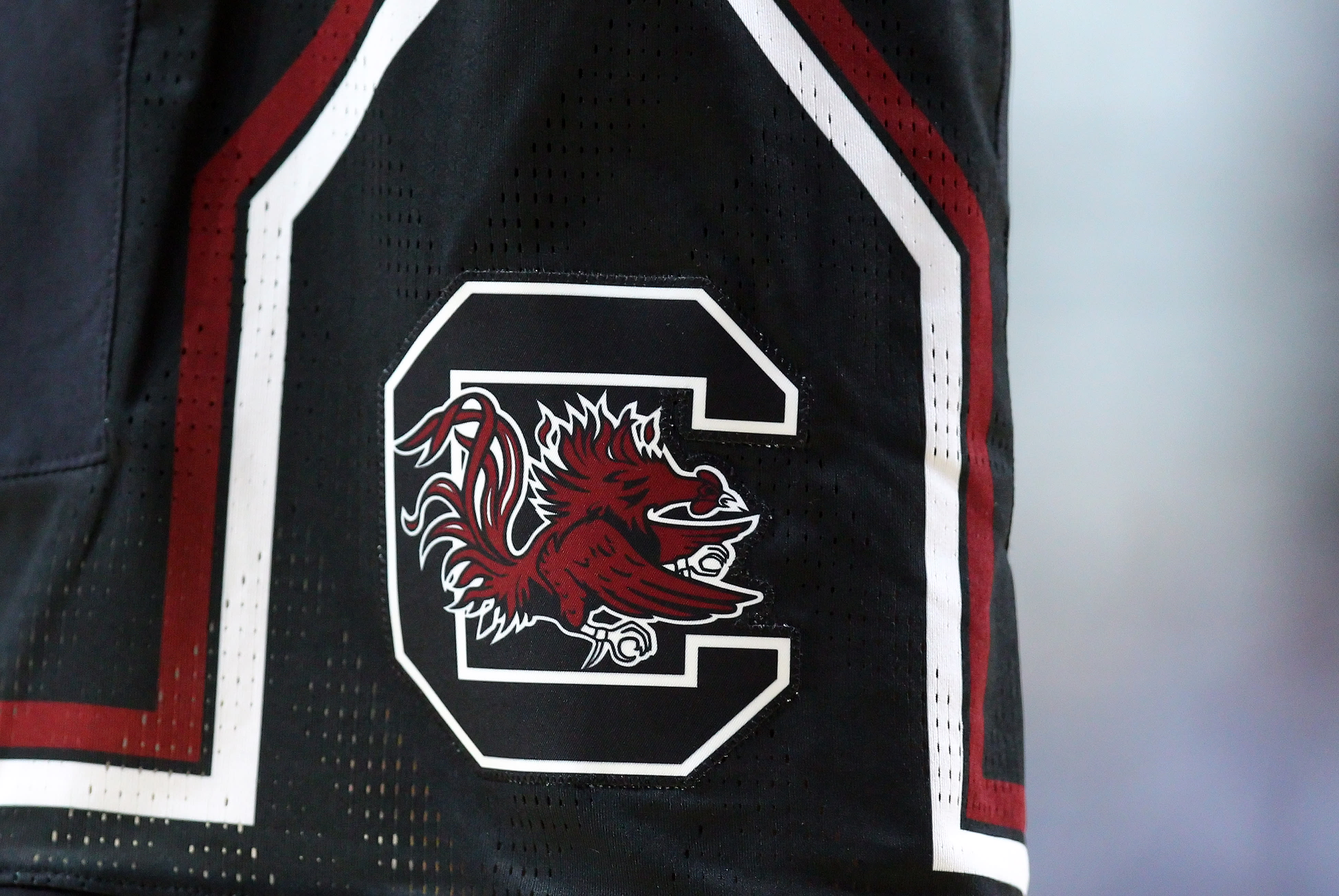 South Carolina Gets Level I Violation In College Basketball Scandal