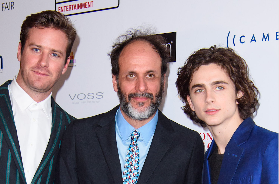 Luca Guadagnino Snuck Timothee Chalamet Armie Hammer Cameos Into We Are Who We Are