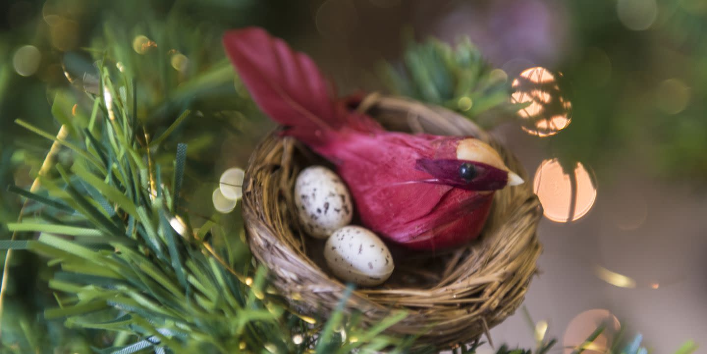 This Is What It Means When You See A Bird S Nest Ornament On A Christmas Tree