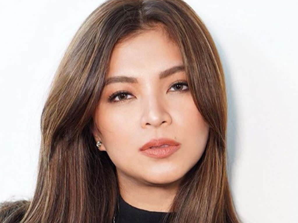 Angel Locsin Asks Help To Build Sleeping Quarters For Health Workers