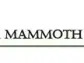 Black Mammoth Metals Arranges $100,000 Private Placement