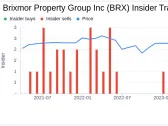 Director Michael Berman Sells Shares of Brixmor Property Group Inc (BRX)