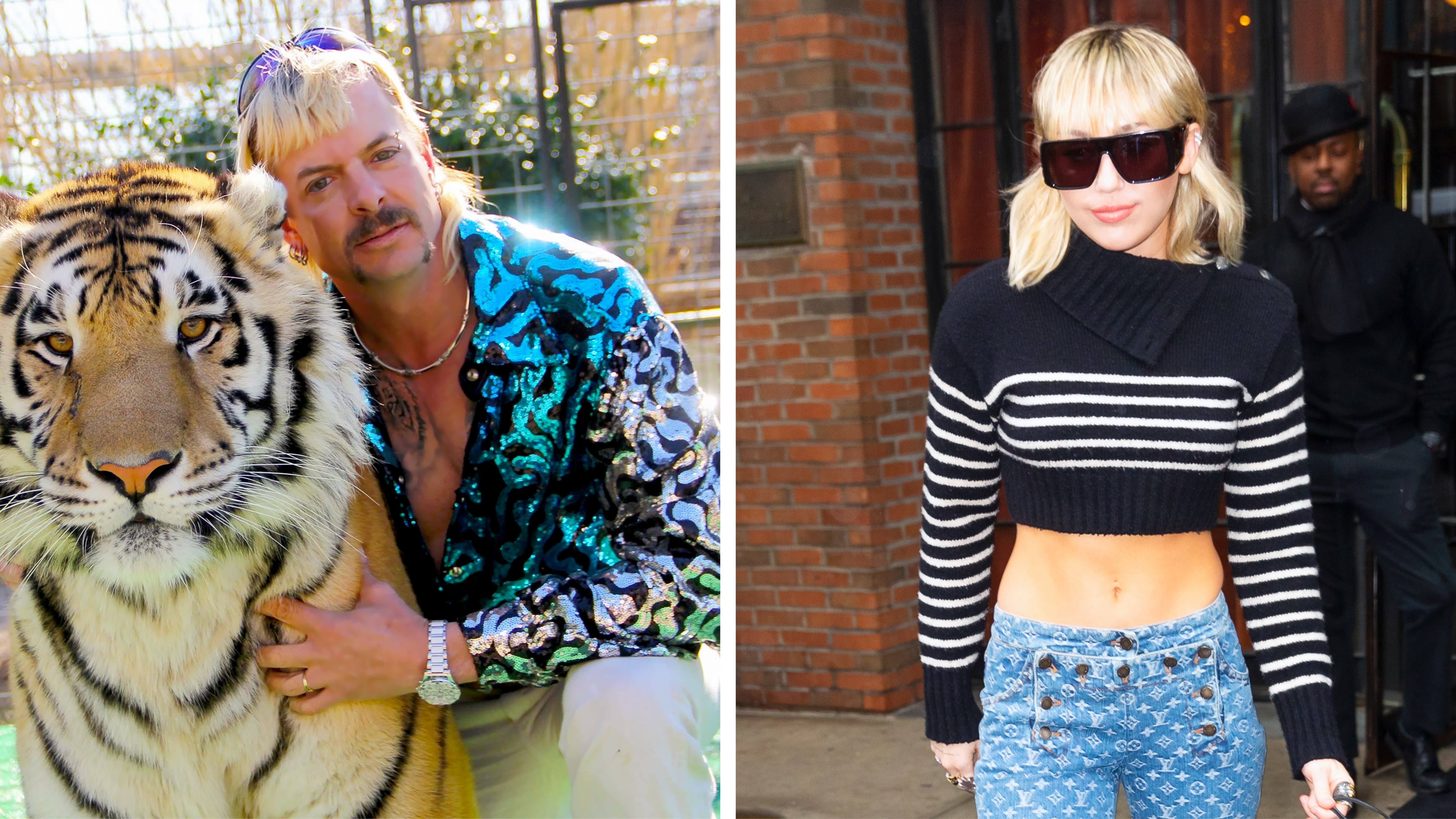 People Think Miley Cyrus S Haircut Looks Like Tiger King Joe Exotic