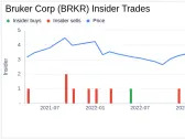 Director Hermann Requardt Sells 15,000 Shares of Bruker Corp (BRKR)