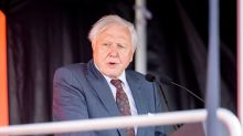 Ecuador condecora a David Attenborough por el documental "Galápagos 3D"