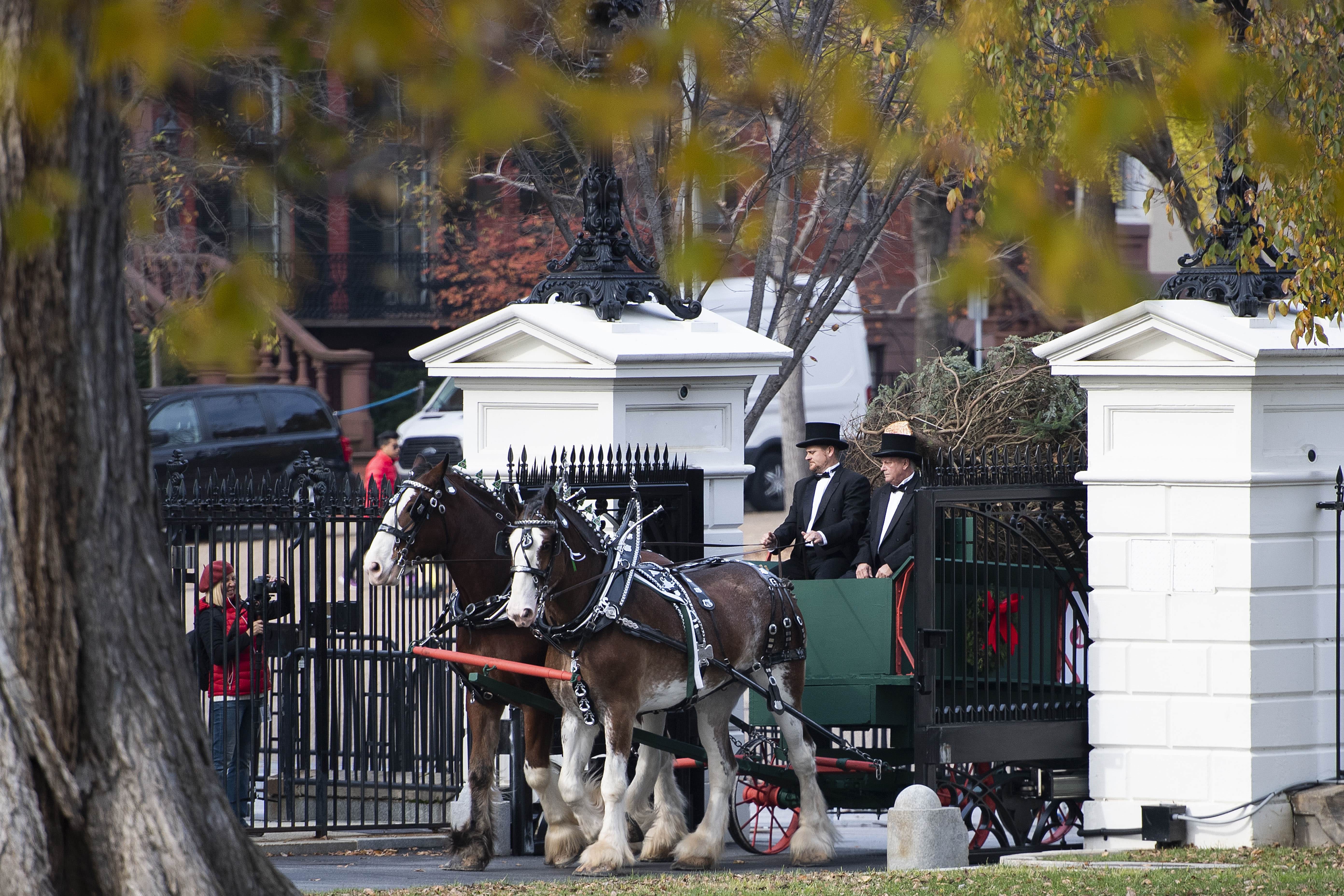 POTUS and FLOTUS the 2018 White House Christmas tree