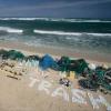 Greenpeace: troppa plastica in pesci e frutti di mare