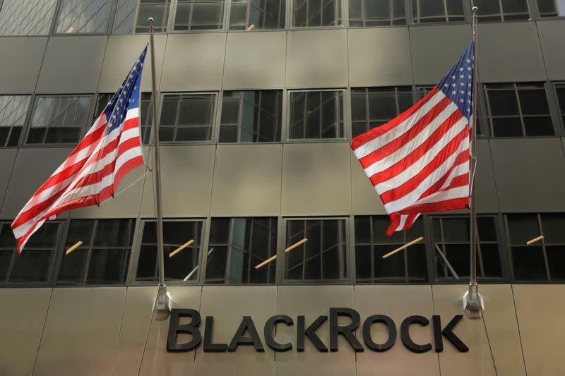 BlackRock profit beats as ETF demand holds up against market rout