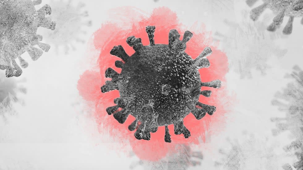Study suggests coronavirus lingers in organs for months