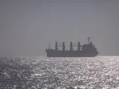 Russia Holds Up Two Egyptian Wheat Ships Due to Trader Dispute