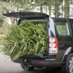 A woman actually, successfully returned her dead Christmas tree