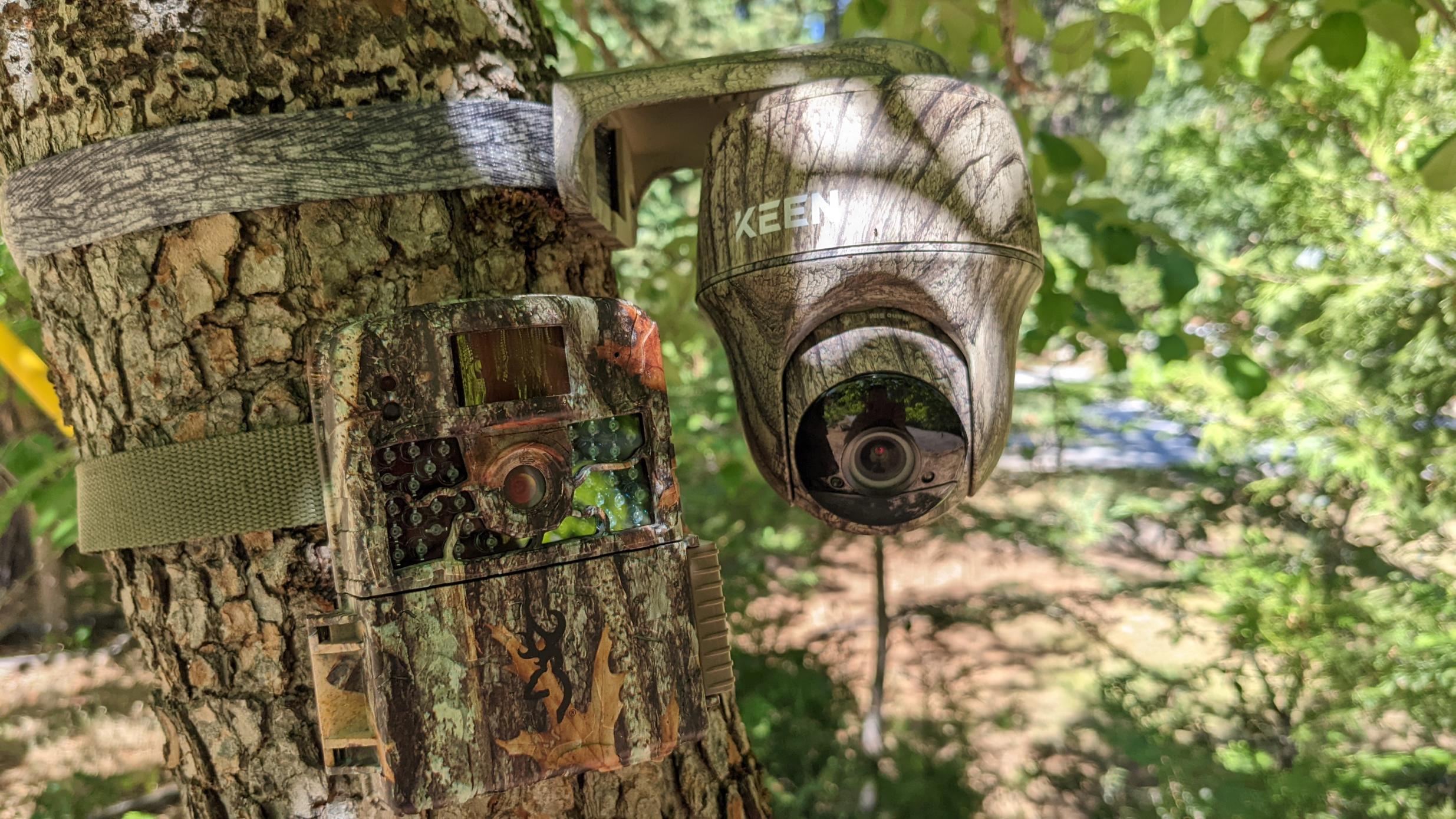 top vision trail camera