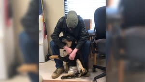 FOUND SAFE: Homeless teen who surrendered dog at Senatobia animal shelter found ..