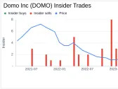 Insider Sell: CFO David Jolley Sells 23,338 Shares of Domo Inc (DOMO)