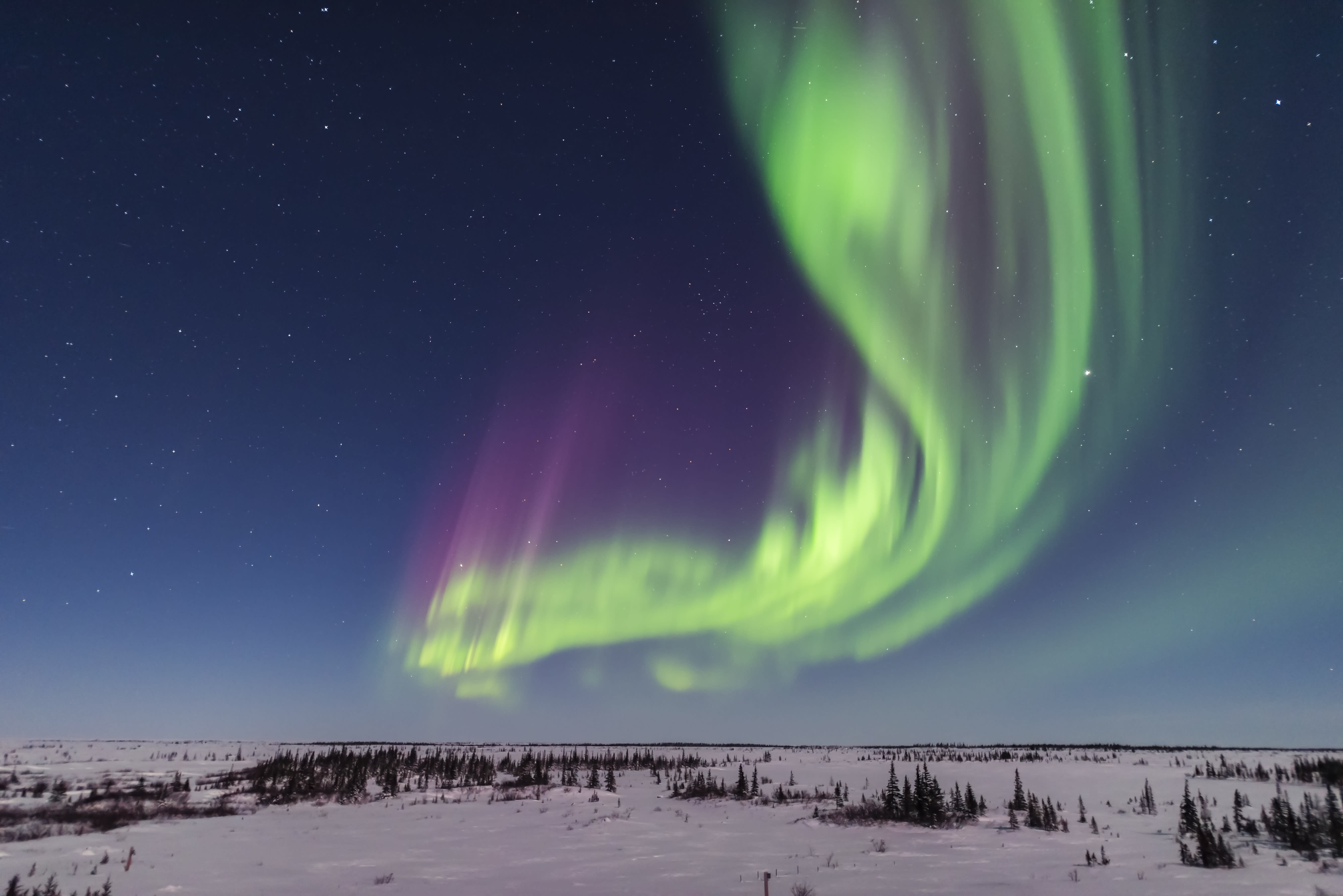 A Solar Storm Could Bring Spectacular Northern Lights ...