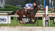 Which Kentucky Derby horse runs best in rain? 3 wins on muddy tracks for you to consider