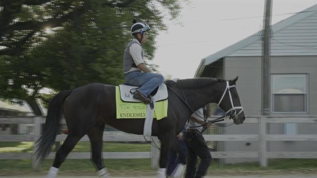 150th Kentucky Derby preview: Endlessly