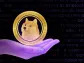 Holding 10,000 Dogecoin Could Make You A Millionaire, Predicts Crypto Analyst