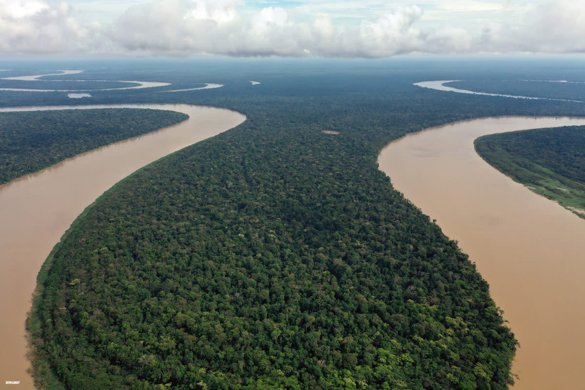 A Bend in the River