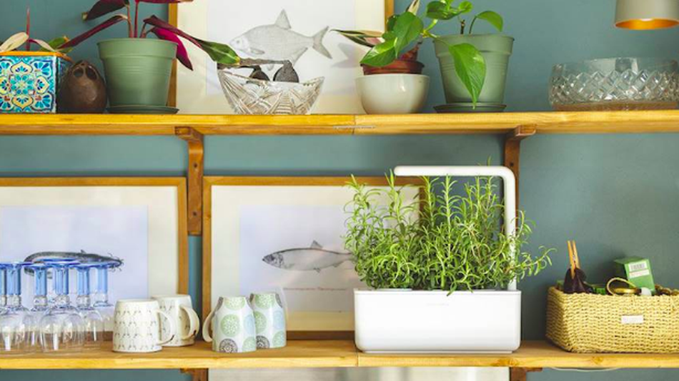 Step up your veggie game with a Click and Grow smart garden on sale