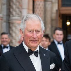 So It Looks Like Prince Charles Will Now Financially Support Prince Harry and Meghan Markle