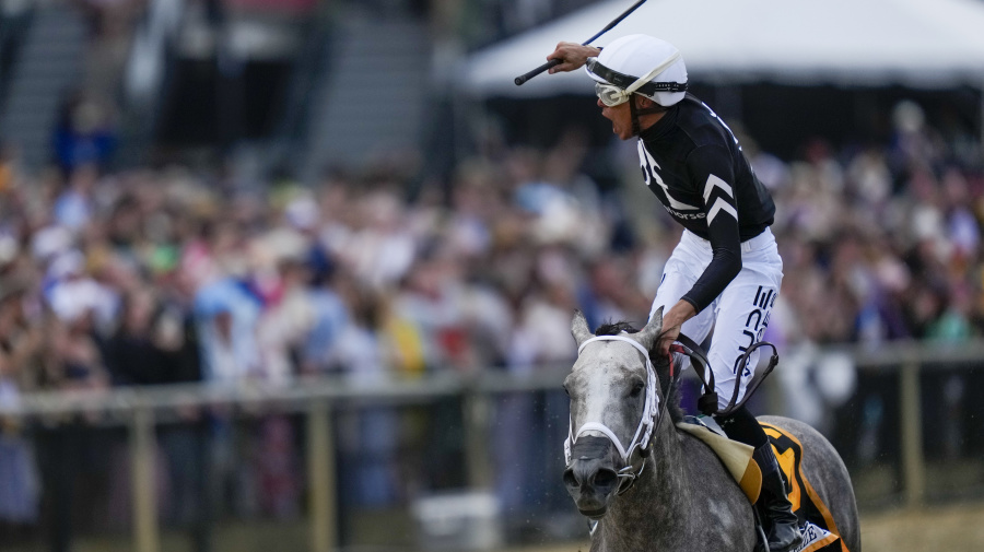 Associated Press - Jaime Torres, atop Seize The Grey, reacts after winning the Preakness Stakes horse race at Pimlico Race Course, Saturday, May 18, 2024, in Baltimore. (AP Photo/Julia Nikhinson)