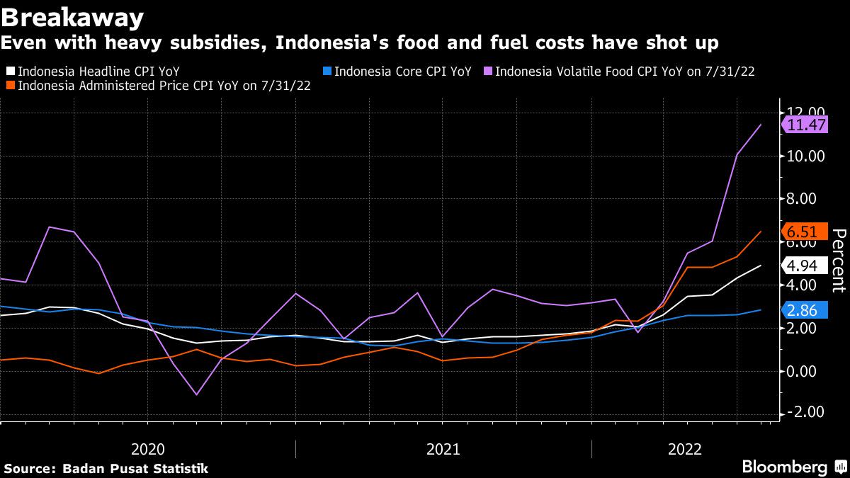 Indonesia surprised by rate hike, raises inflation outlook Business News