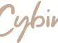 Cybin Announces Results of Annual and Special Meeting of Shareholders and Share Consolidation