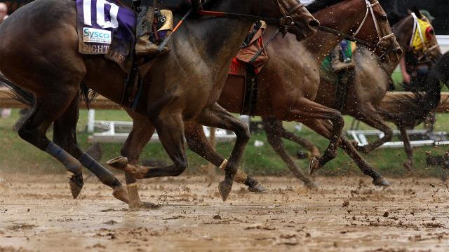 Kentucky Derby odds report and conditions outlook