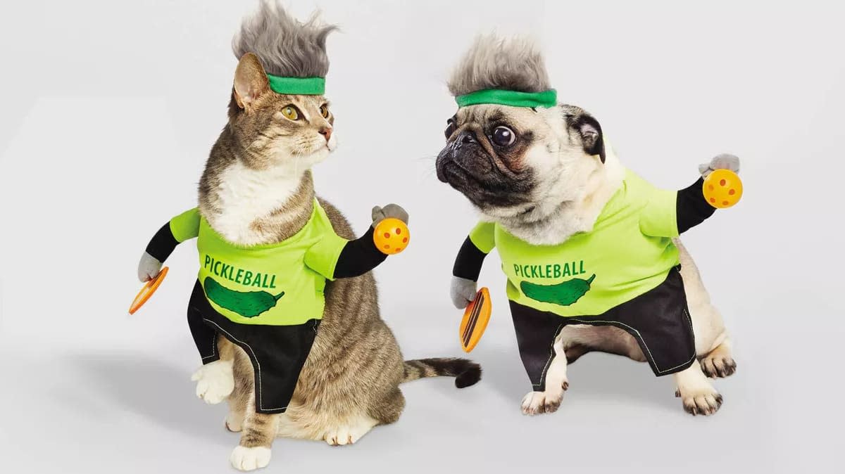 A pickleball pup and 9 more pet Halloween costumes at Target