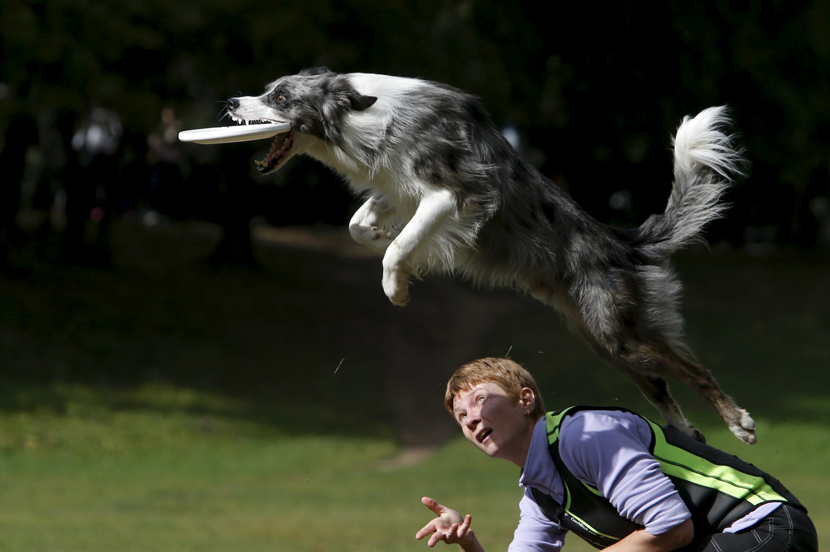 Photos of the day September 13, 2015