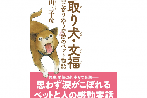 預知死亡的奇蹟柴犬 日本安養機構的照護犬 文福 溫柔陪伴高齡者走完人生