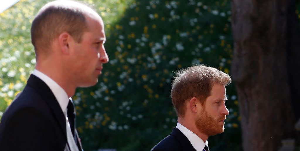 Lip Reader reveals what Harry and William said during their reunion