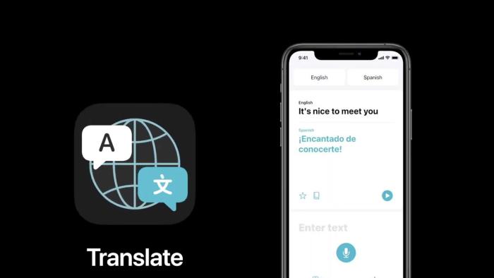 Apple Translate App