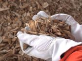 Origin Materials Converts Wood Residue Feedstock into Sustainable Intermediates at Commercial-Scale Plant