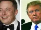 Donald Trump Stock DJT Vs. Elon Musk's Tesla. Which Is The Better Meme Stock?