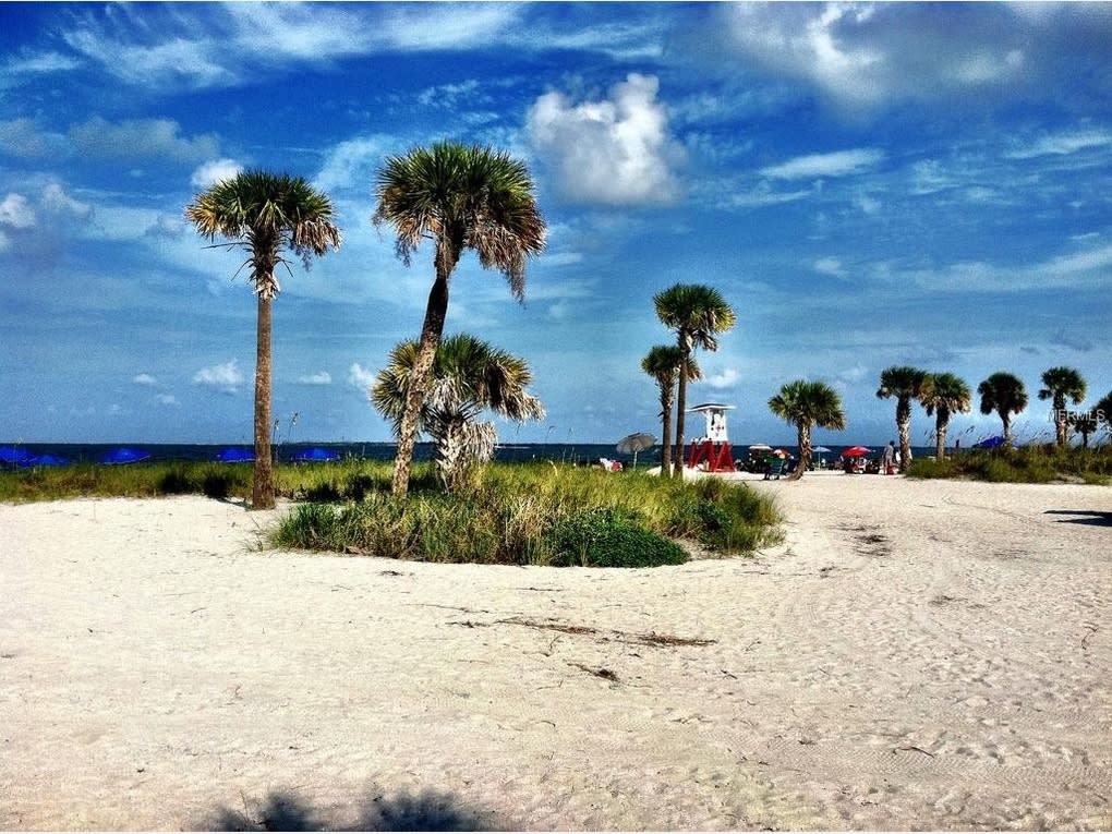 Tarpon Springs To Reopen Sunset Beach, City Marina, Pools