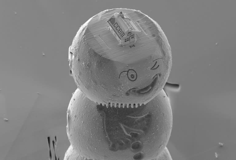 The gingerbread house, etched from silicon, sits atop a cap on the head of a winking snowman made from materials used in lithium-ion battery research (AFP Photo/Travis Casagrande)