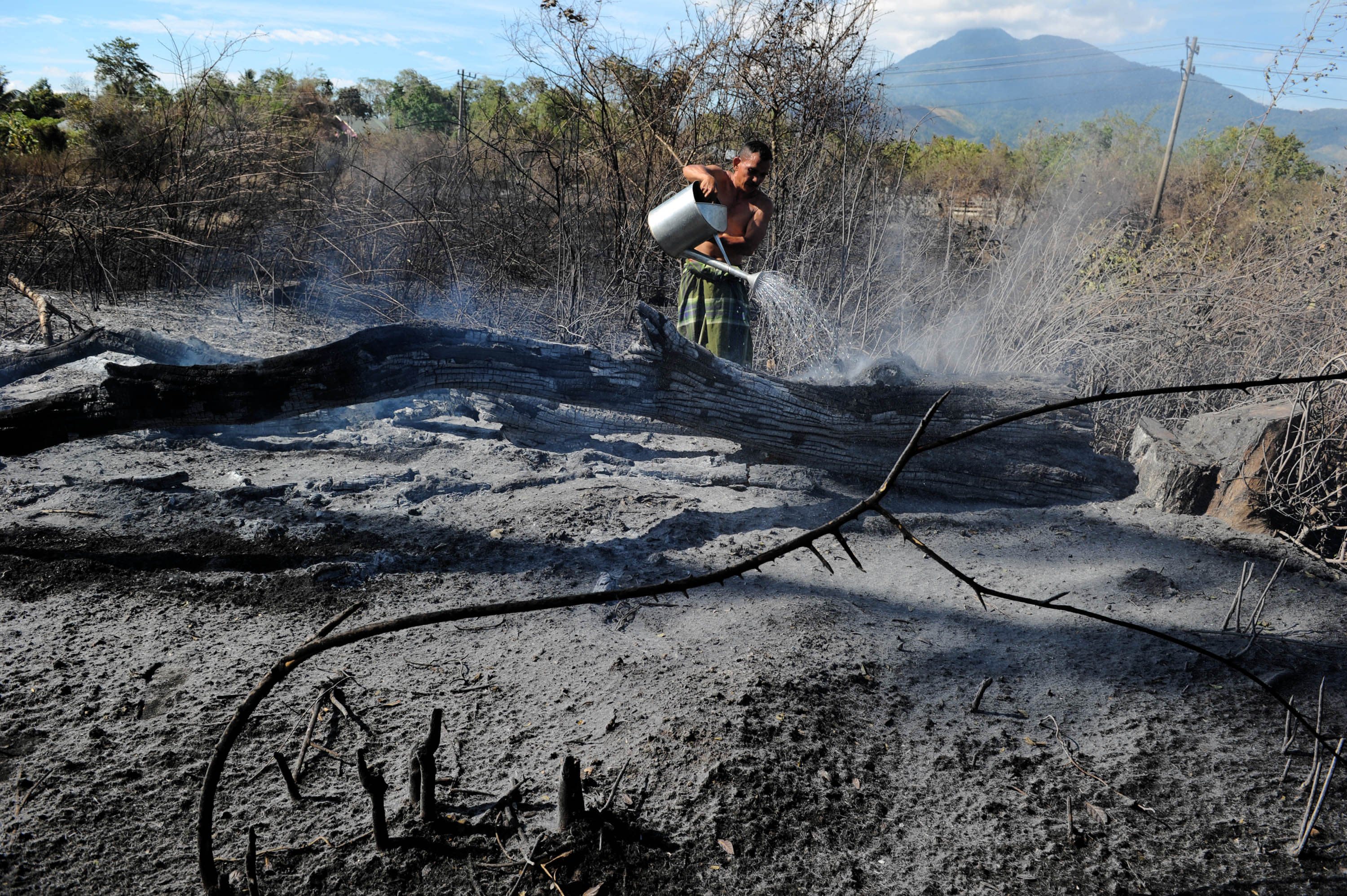 The Problem Of Forest Fires