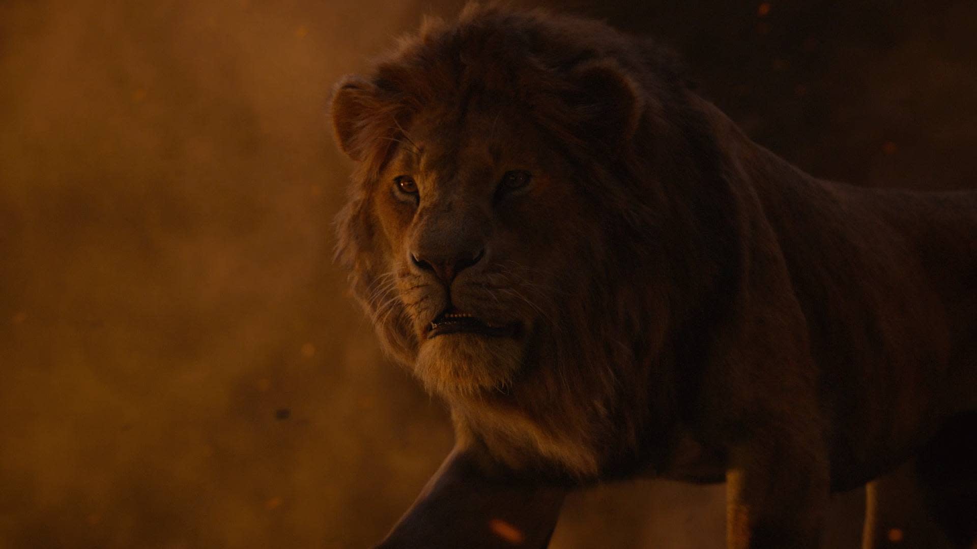 Лев 2024. Король Симба фильм. Симба 2019. Король Лев the Lion King 2019. Король Лев фильм 2019 Муфаса.