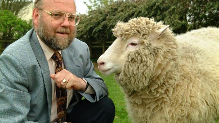 Mid-90s photo of Sir Ian Wilmut with Dolly the cloned sheep. He squats on the left (perhaps with sheep treats in his closed hand) as Dolly faces him on the right.