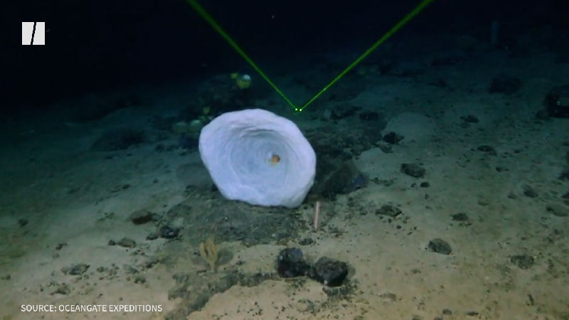 Titanic: 'Haunting' new footage of shipwreck released - BBC News